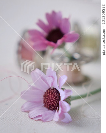 Pink flowers and bobbin thread Pink flowers and bobbin thread 131209558