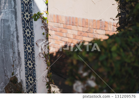 [Misaki, Ako City] Cute patterned tiles 131209576