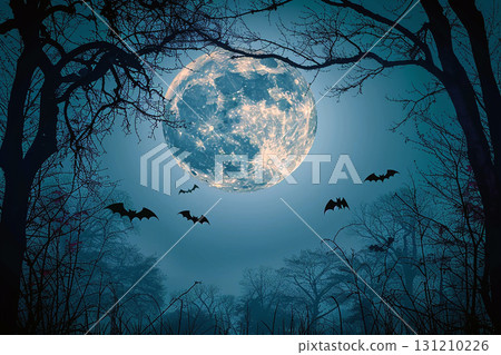 Halloween night and full moon forest silhouette background illustration 131210226