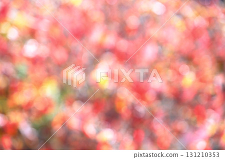 Out-of-focus dogwood autumn leaves [Circular bokeh] [Blur] 131210353