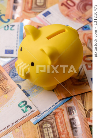 Paper money, euro notes, cash for savings and investments. Euro paper cash 131210475