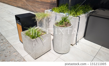 Concrete Planters Featuring Lush Grass Set in a Modern and Inviting Outdoor Environment Concrete Planters Featuring Lush Grass Set in a Modern and Inviting Outdoor Environment 131211005