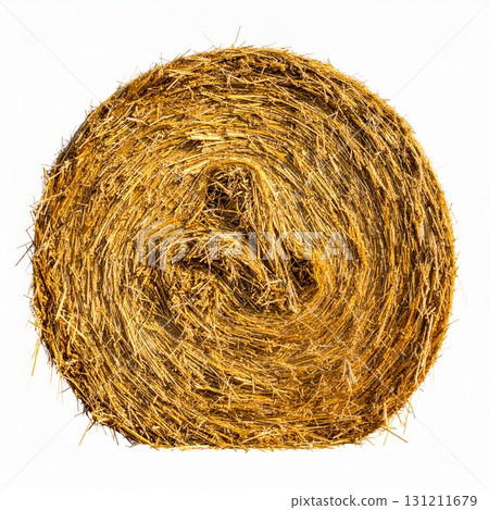 Close Up of Golden Hay Bale with Textured Details Against White Background 131211679