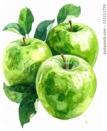 Three Green Apples with Leaves Watercolor Painting Isolated on White Background Three Green Apples with Leaves Watercolor Painting Isolated on White Background 131211759