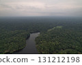 Lush green rainforest landscape beside a winding river during cloudy day 131212198