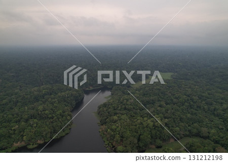 Lush green rainforest landscape beside a winding river during cloudy day 131212198