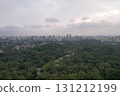 Skyline view of Sao Paulo revealing urban development and green spaces 131212199