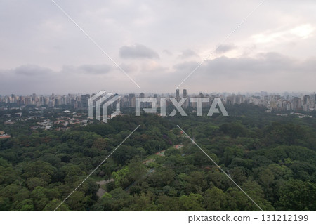 Skyline view of Sao Paulo revealing urban development and green spaces 131212199