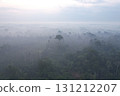 Vast mist-covered forest landscape in the heart of South America 131212207