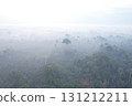 Misty Amazon rainforest under a cloudy sky at dawn 131212211