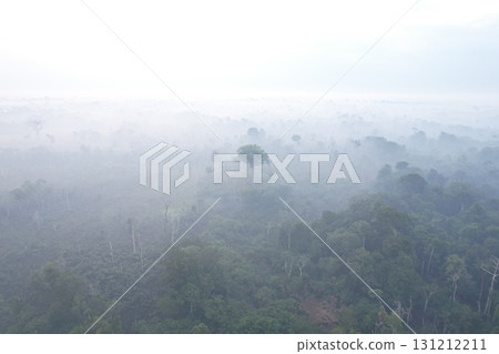 Misty Amazon rainforest under a cloudy sky at dawn 131212211