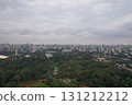 View of Sao Paulo city skyline surrounded by greenery on a cloudy day 131212212