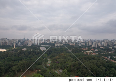 View of Sao Paulo city skyline surrounded by greenery on a cloudy day 131212212