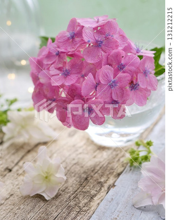 Pink hydrangea Pink hydrangea 131212215