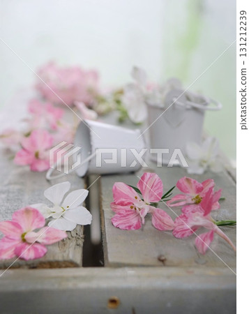 粉紅色的花朵 131212239