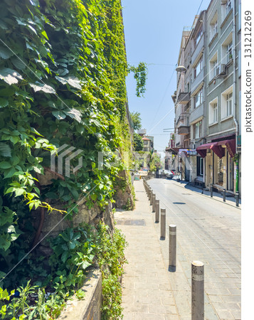 Green ivy covering the wall along the city street. 131212269