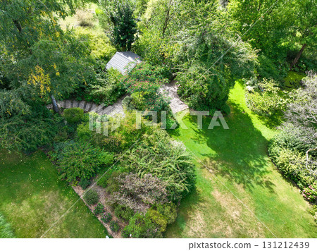Enlgish green garden with multpiple type of trees and plants 131212439