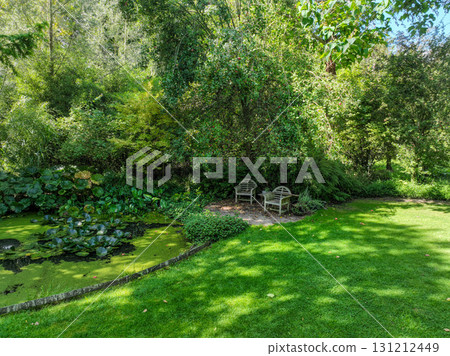 Enlgish green garden with multpiple type of trees and plants Enlgish green garden with multpiple type of trees and plants 131212449