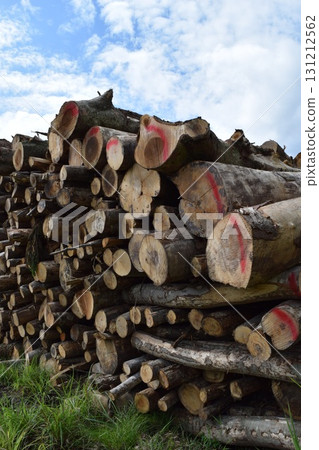 Cut out hardwood logs Cut out hardwood logs 131212562