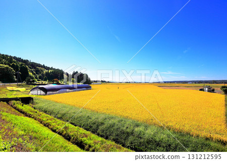 鄉村風景與藍天 鄉村風景與藍天 131212595