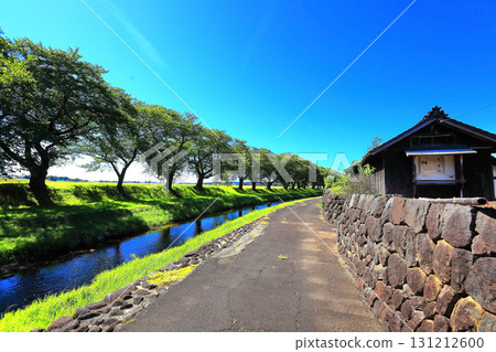 鄉村風景與藍天 131212600