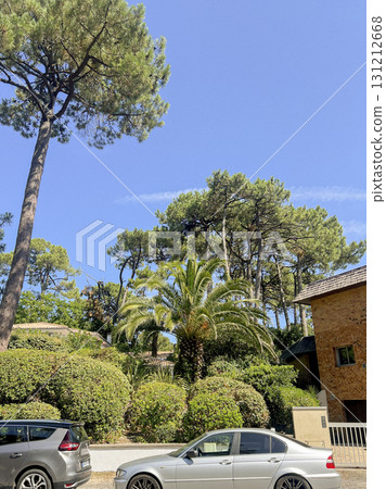 Silver car parked near large trees by the beach in Arcachon 131212668