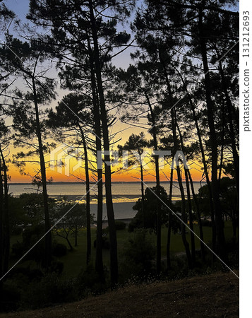 Sunset over plage peirere in arcachon with trees silhouetted Sunset over plage peirere in arcachon with trees silhouetted 131212693