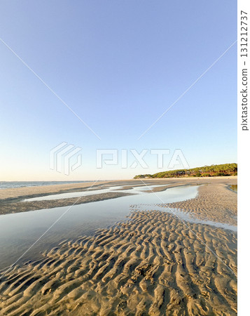 Serene beach at Plage Peirere in Arcachon with beautiful forest backdrop 131212737