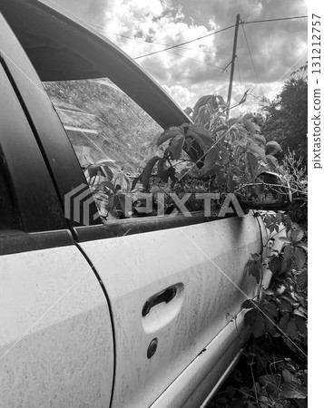 Abandoned car overgrown with brambles in a rural setting at midday Abandoned car overgrown with brambles in a rural setting at midday 131212757
