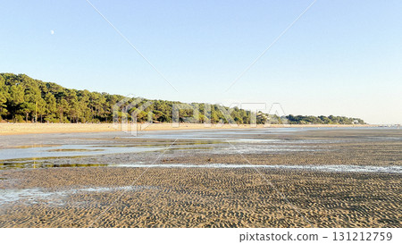 Serene beach at Plage Peirere in Arcachon with beautiful forest backdrop 131212759