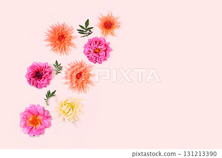 Abstract floral arrangement and autumn still life with seasonal flowers, Beautiful dahlia flowers on light background, backdrop and banner for screen, minimalist holiday concept, greeting card 131213390