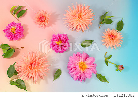 Sunny greeting card with beautiful dahlia flowers, abstract floral arrangement and autumn still life with seasonal flowers, background and banner for the screen, minimalist holiday concept 131213392