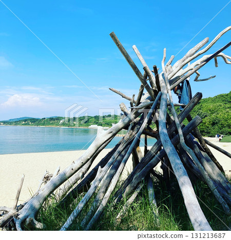 用琵琶湖沿岸發現的浮木製作的作品 131213687