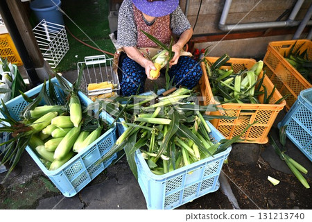 Corn husking by hand and preparation for food sales Corn husking by hand and preparation for food sales 131213740