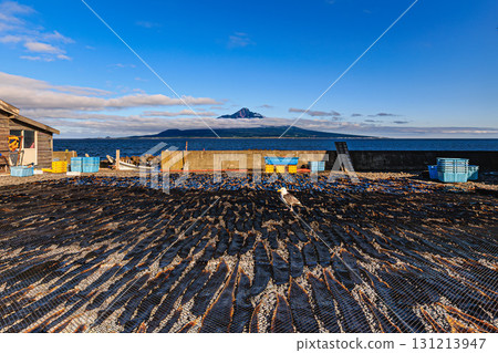 Sun-dried Rishiri kelp and the scenery of Mount Rishiri 131213947