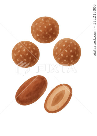 能量球和堅果水彩插圖PNG透明背景 能量球和堅果水彩插圖PNG透明背景 131215006