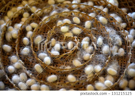 Round bamboo basket for raising silkworm larvae, divided into spiral compartments. It contains a white silk cocoon. Round bamboo basket for raising silkworm larvae, divided into spiral compartments. It contains a white silk cocoon. 131215125