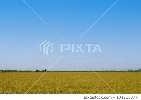 Autumn countryside Autumn countryside 131215377