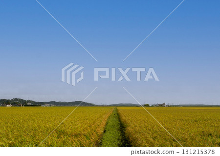 Autumn countryside Autumn countryside 131215378