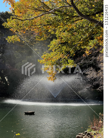 井之頭公園紅葉2024 131216435