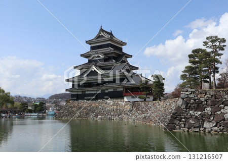 城堡與櫻花:信州松本城的春天風景 城堡與櫻花:信州松本城的春天風景 131216507