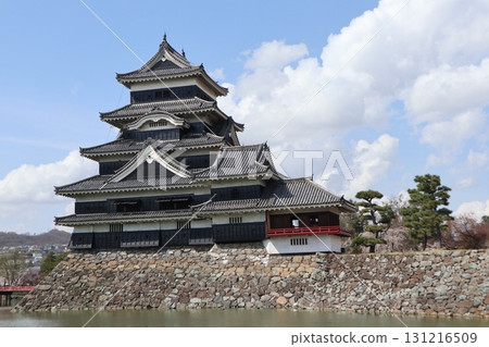 城堡與櫻花：信州松本城的春天風景 131216509