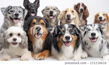 Dog, dog, group photo, white background, image generation AI 131216616