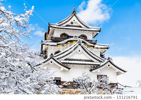 Shiga Hikone Castle: Snow-covered castle tower 131216791