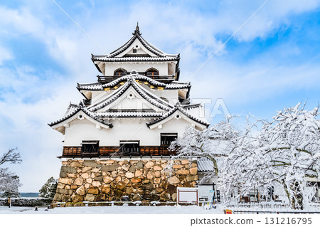 Shiga Hikone Castle: Snow-covered castle tower 131216795