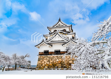 Shiga Hikone Castle: Snow-covered castle tower 131216798