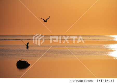 A seasonal sight in Wakkanai in spring: Spring octopus fishing around the rocks at dawn 131216931