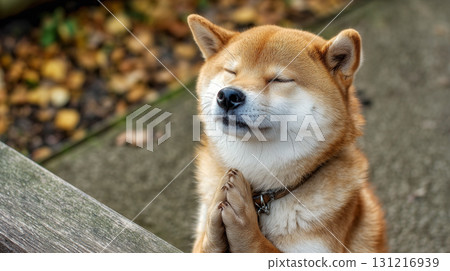 祈禱柴犬圖像生成 AI 祈禱柴犬圖像生成 AI 131216939