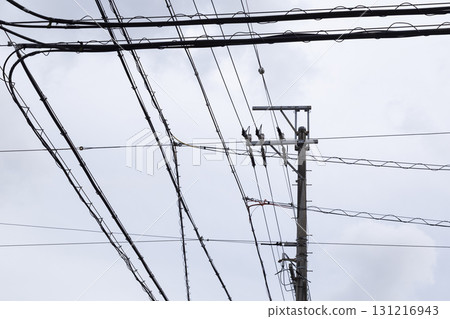 電線桿和傳輸線 131216943