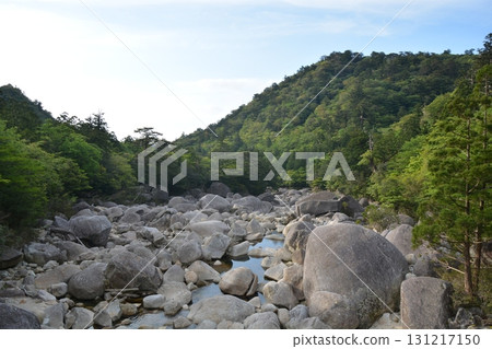 World Heritage Site Yakushima: The natural beauty of the trekking course World Heritage Site Yakushima: The natural beauty of the trekking course 131217150
